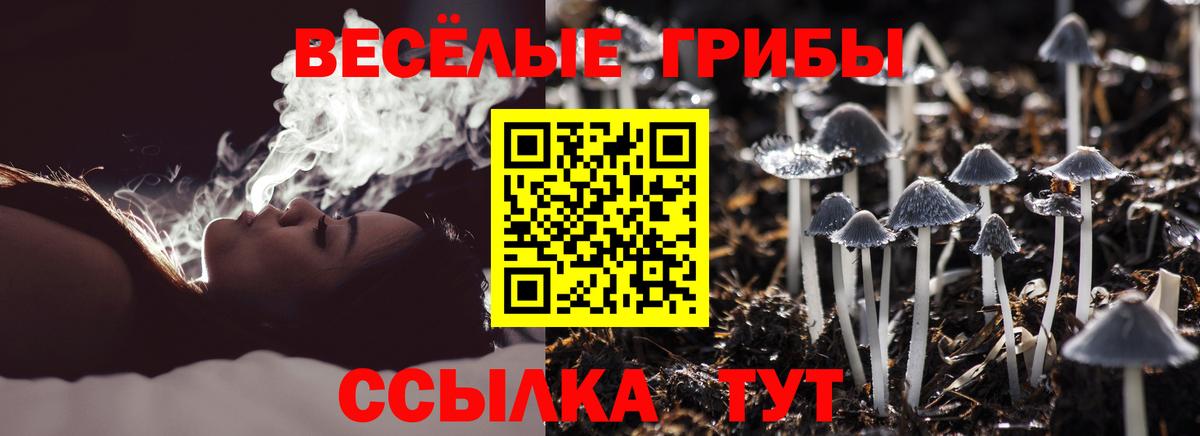 Щёлково  Галлюциногенные грибы Magic Shrooms  Вход с VPN  Галлюциногенные грибы прущие грибы 